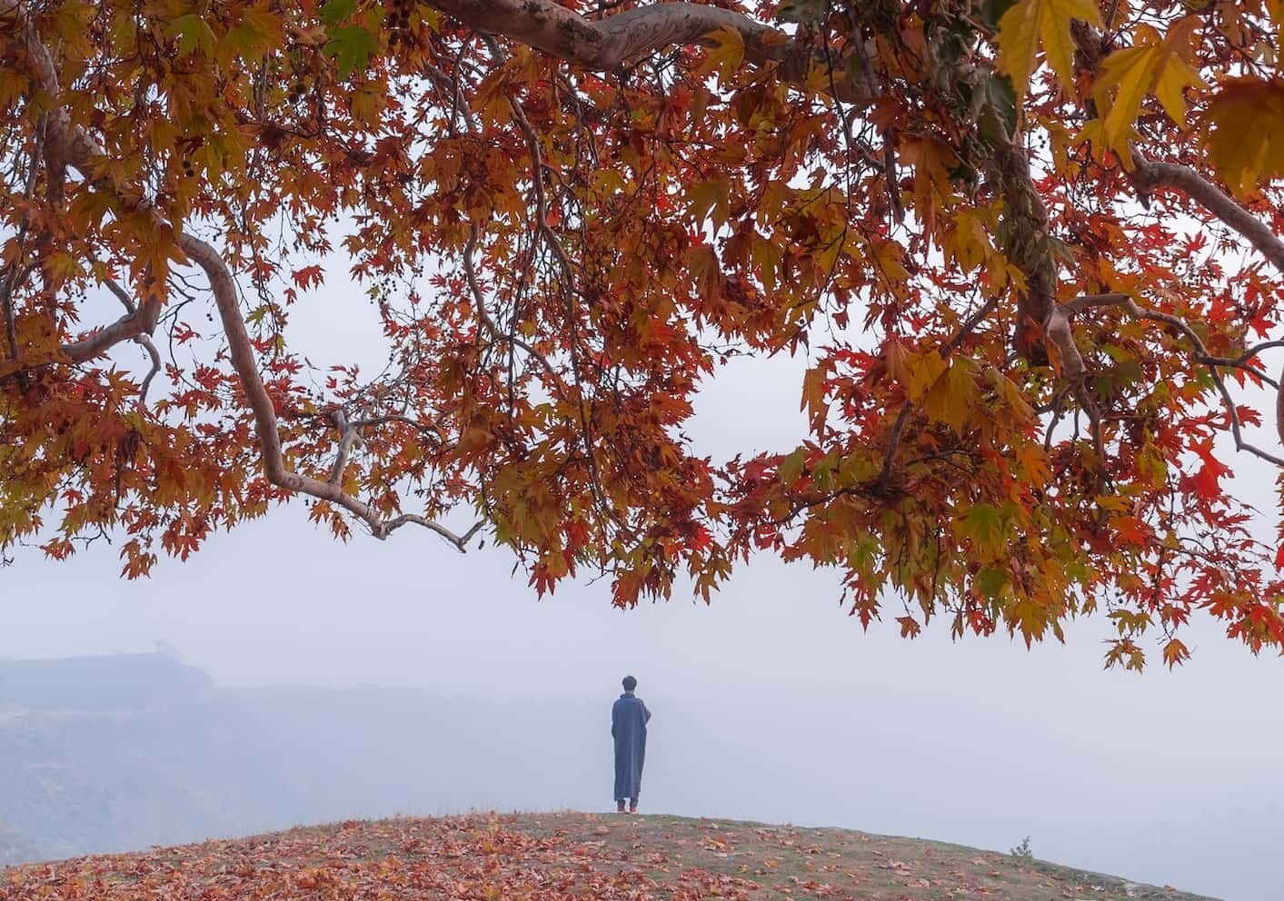 This Made Me Believe