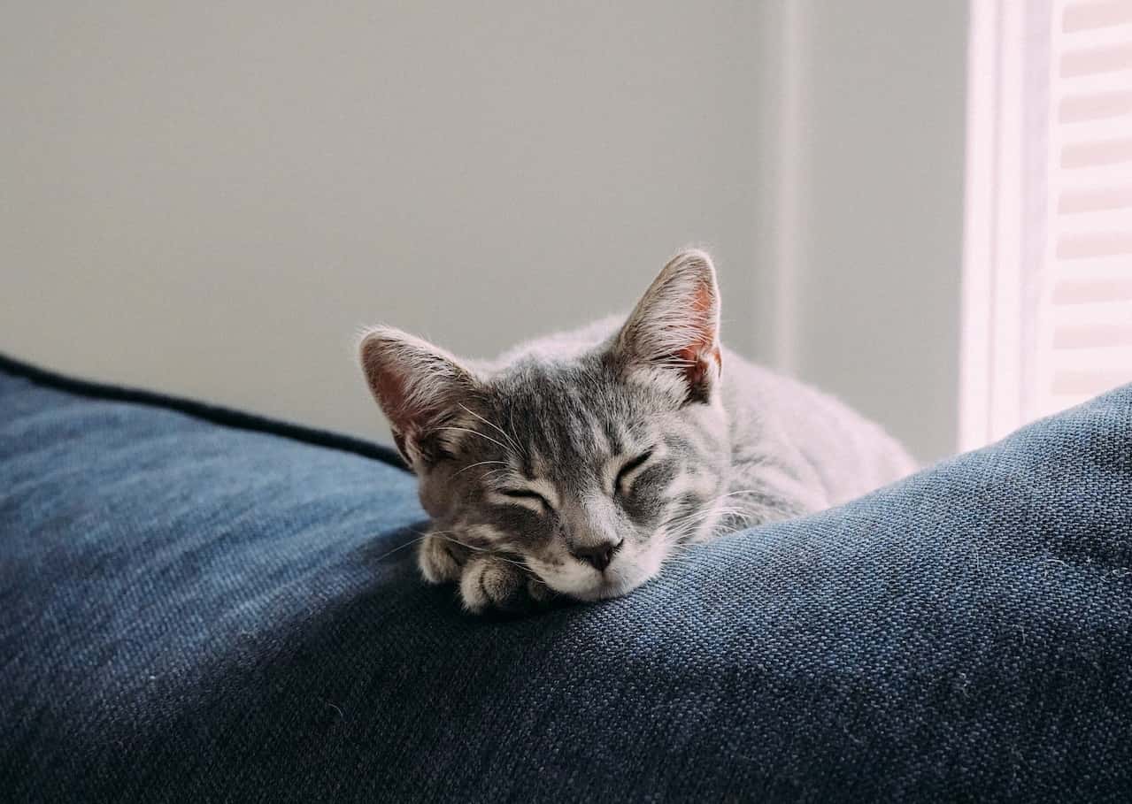 Blood-Curdling Paranormal Tales