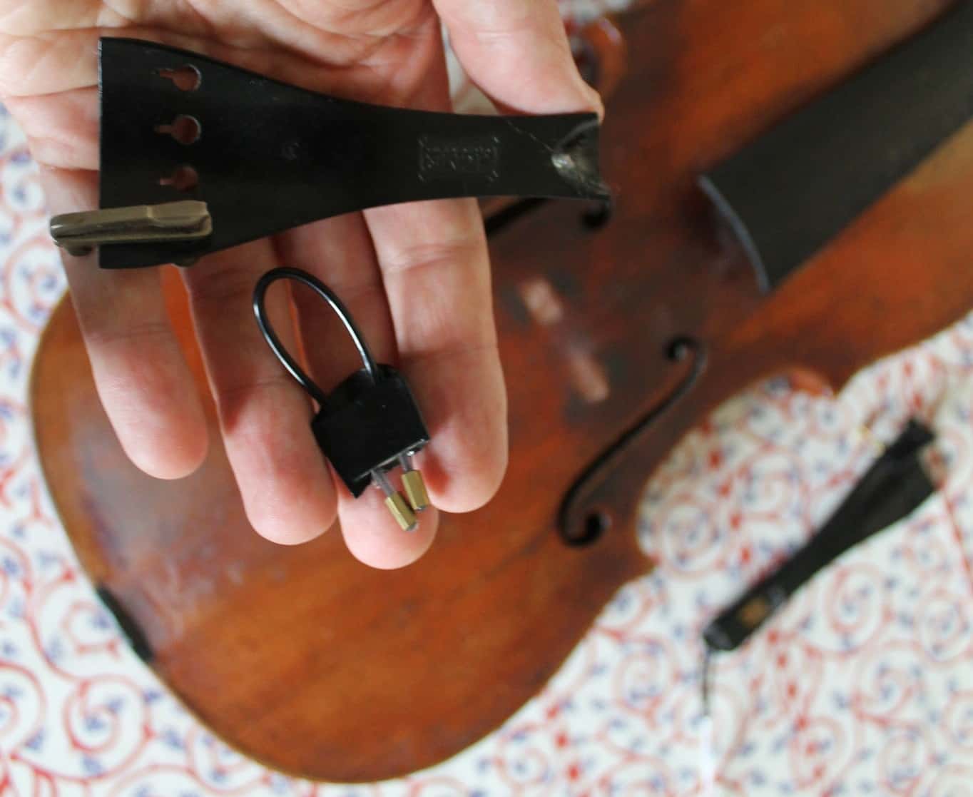 My Teacher Just Lost It!