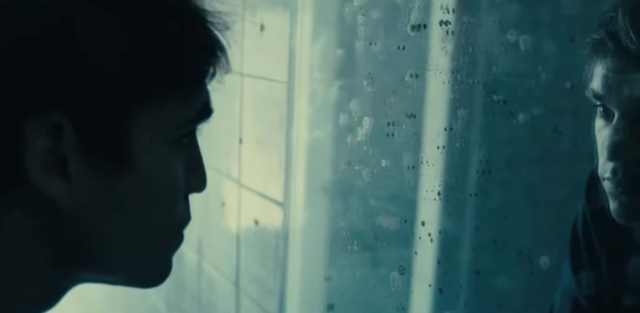 Frederic Bourdin Facts