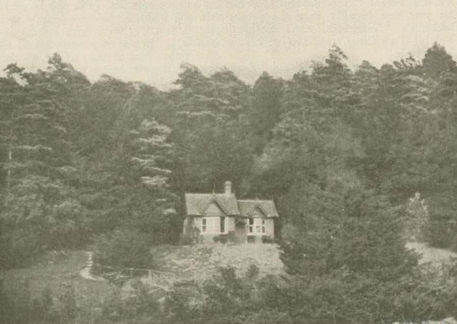 Caroline Norton facts