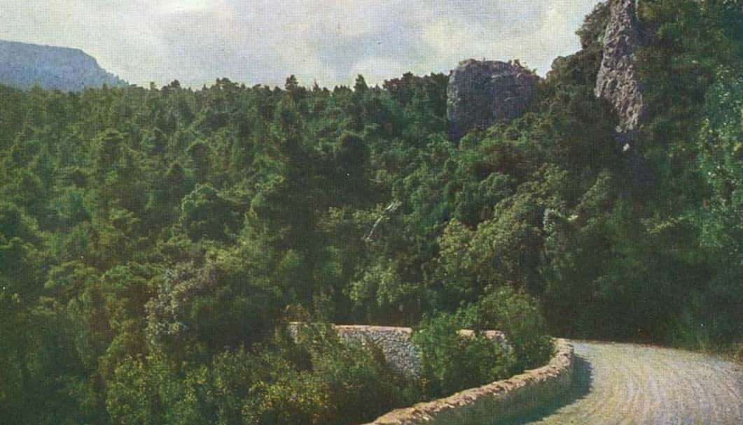 Alexander Of Greece facts