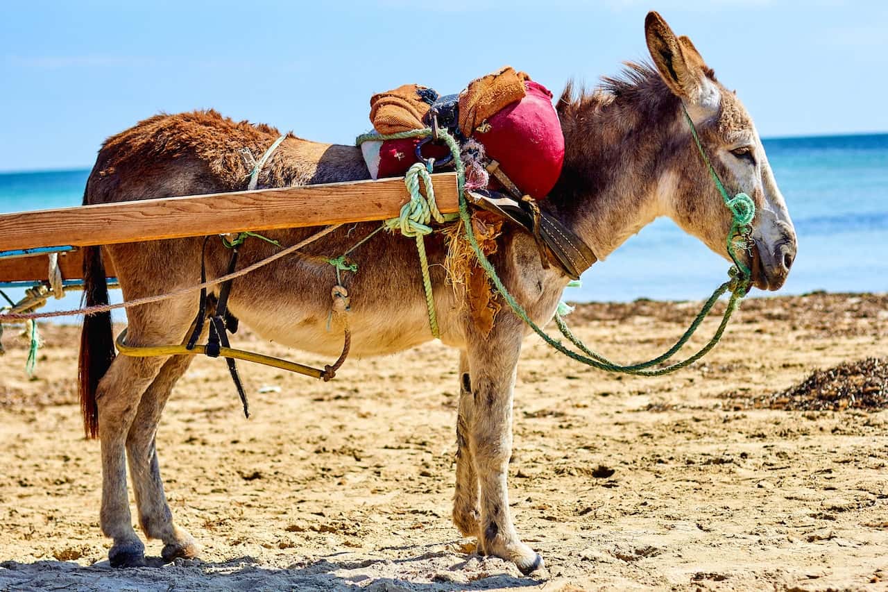 These Patients Should’ve Been WAY More Worried