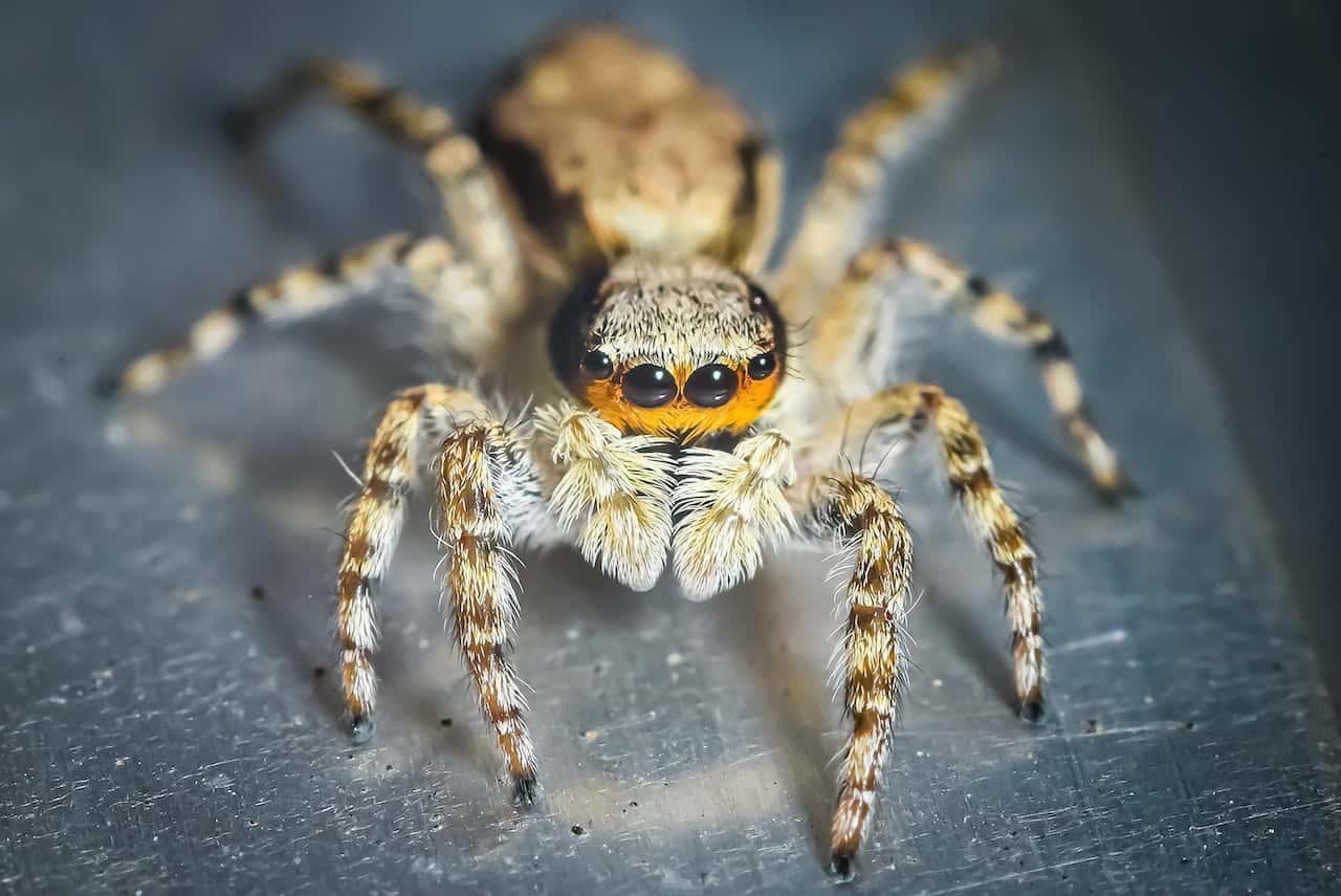 I Need To Get This Off My Chest