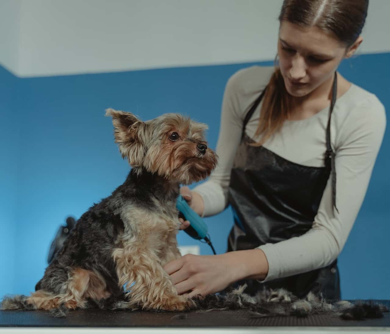 My Teacher Just Lost It!