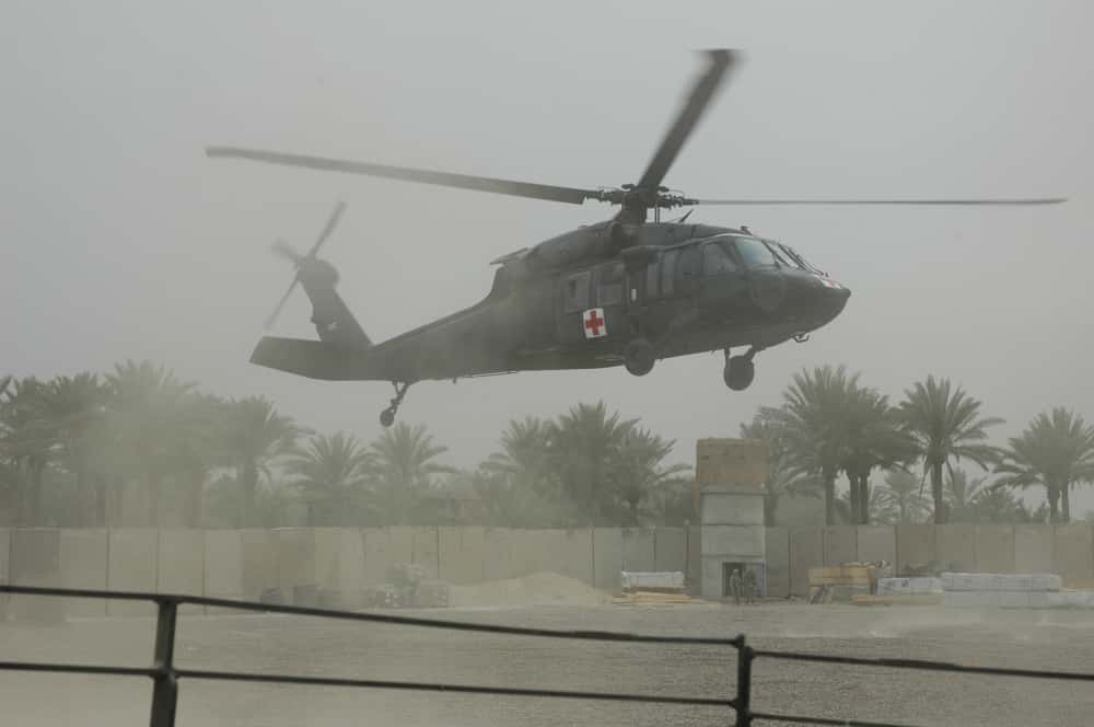 HOW Did They Survive