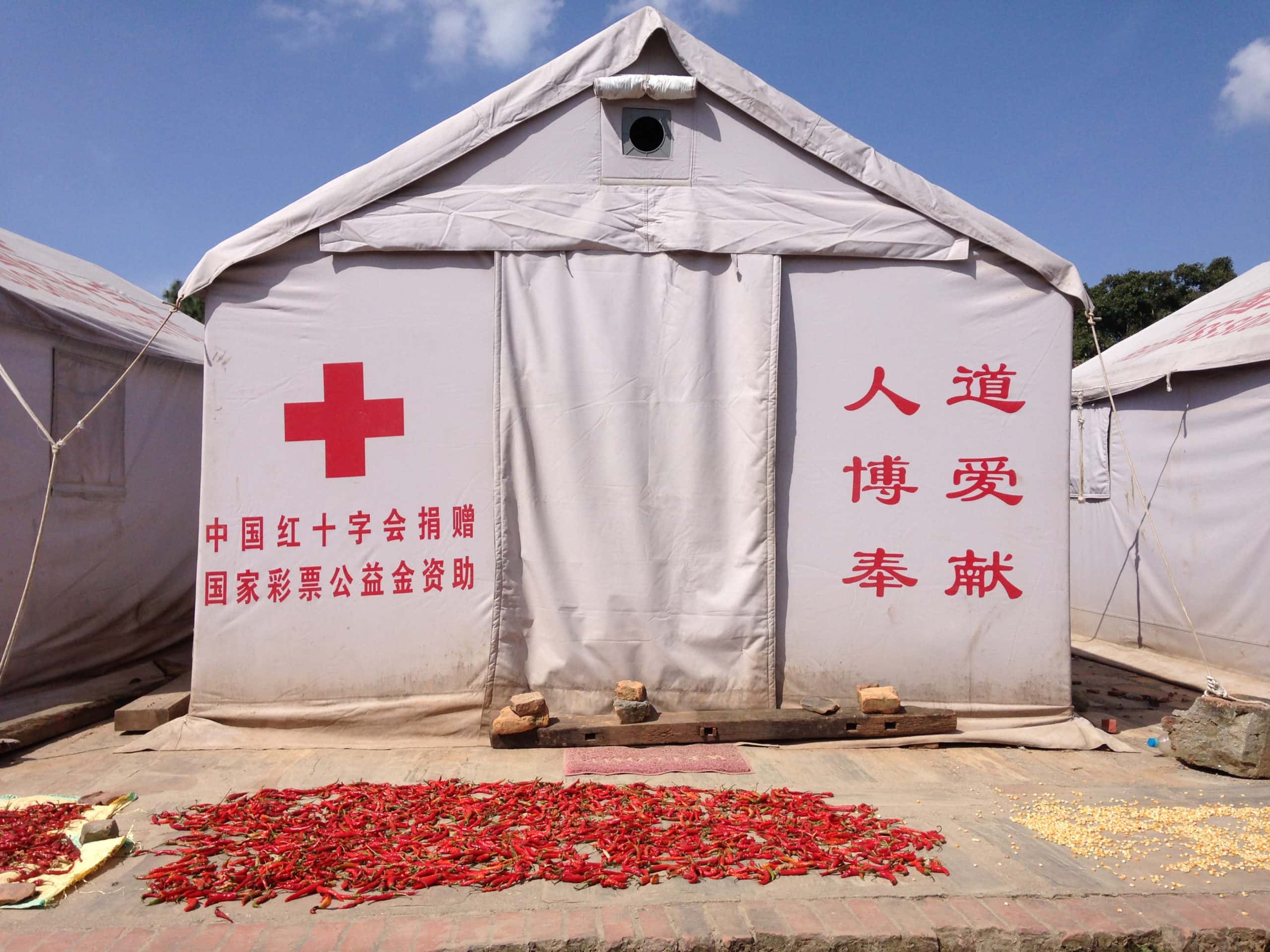 Medical Horror Stories