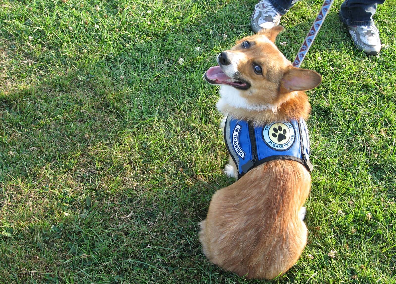 These People Are The Absolute Worst