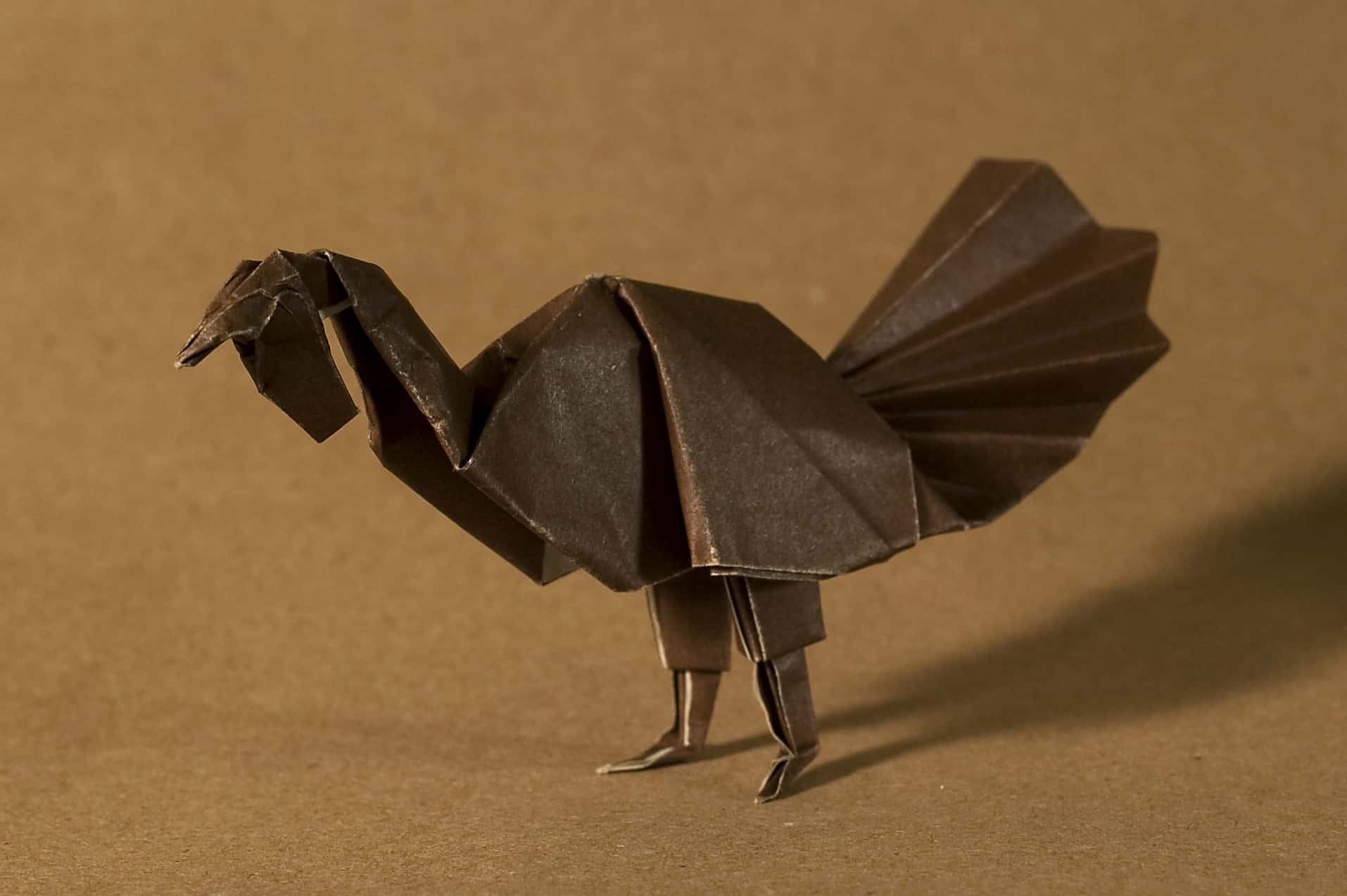 "My Thanksgiving Was Ruined!"