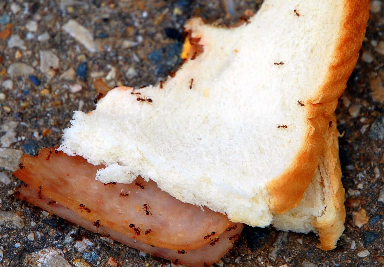 The Worst Things People Have Ever Done