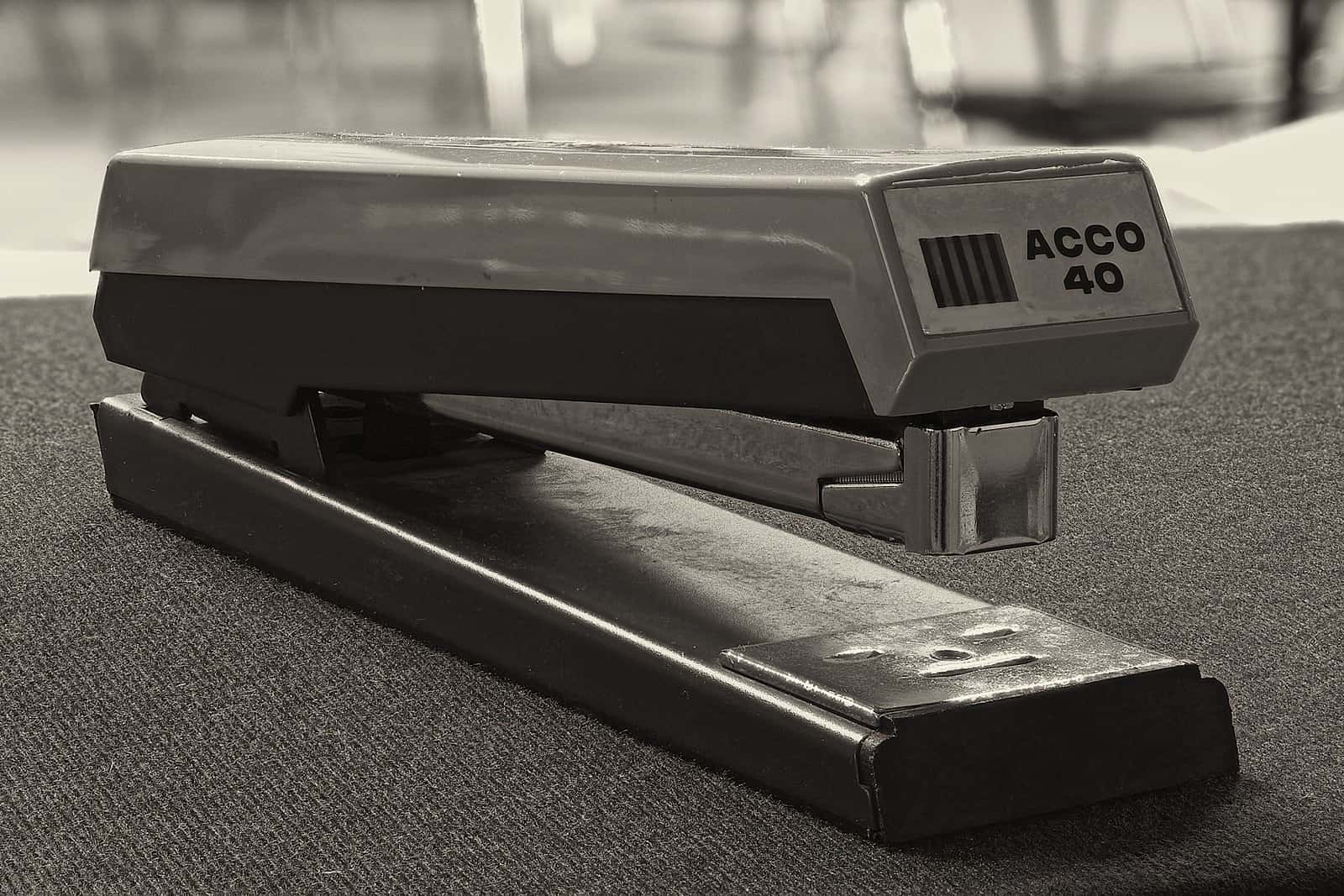 The Weirdest Kid In School