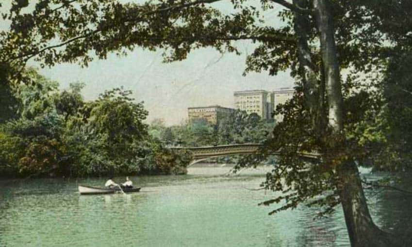 Robert Harrison facts