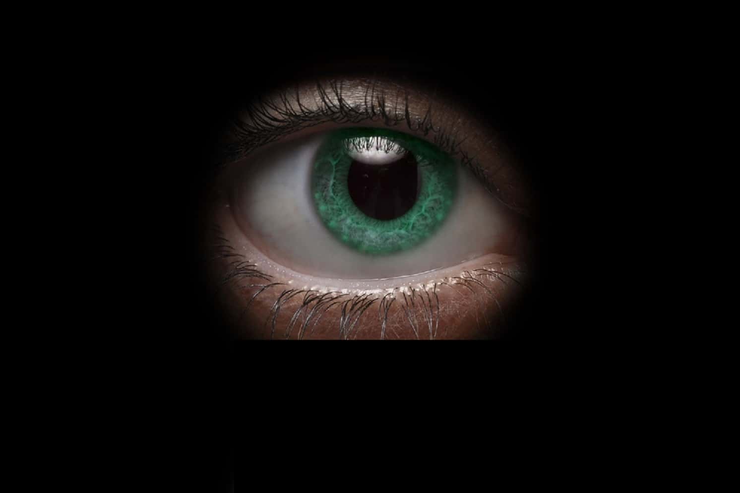 These Family Secrets Changed Everything