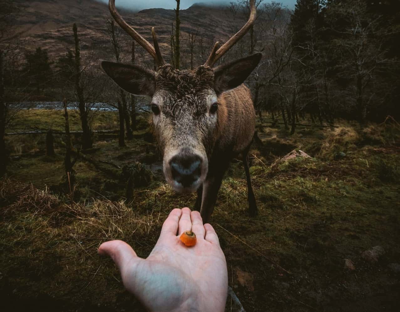 These People Are The Absolute Worst