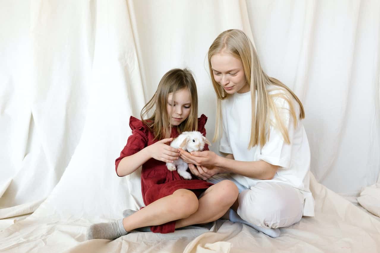 "My Thanksgiving Was Ruined!"