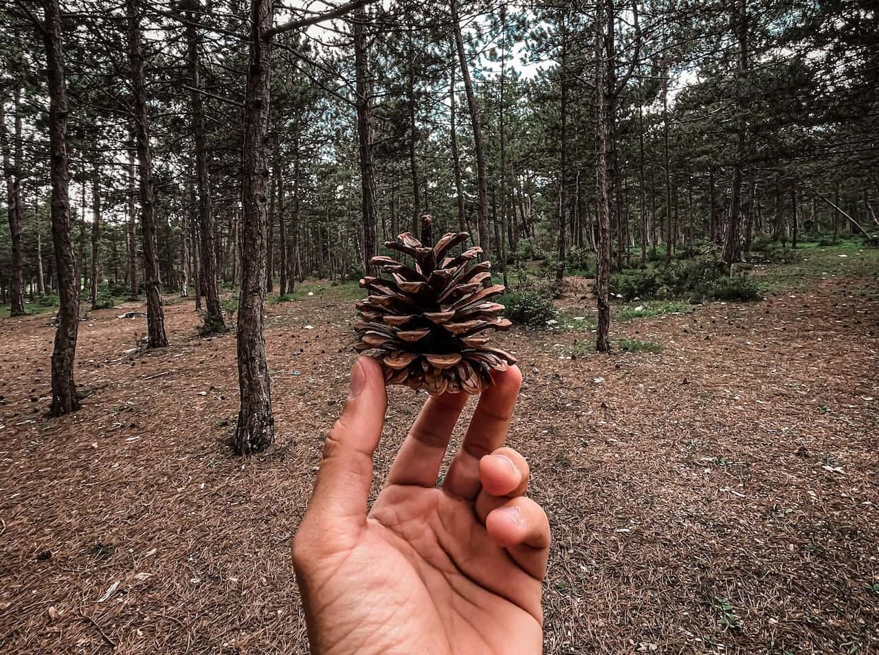 Boot Camp Confidential