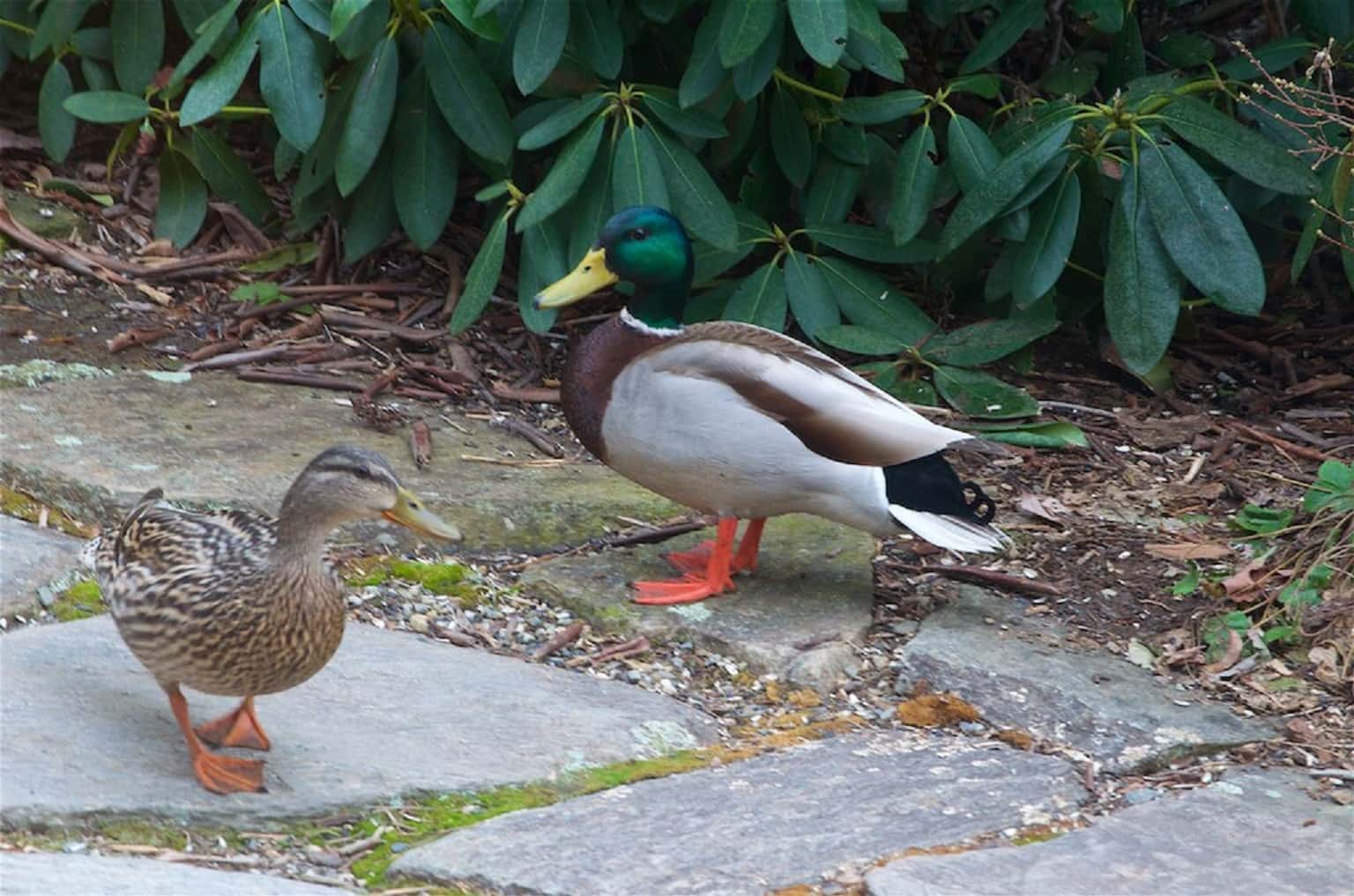 No One Believes My Bizarre Experience