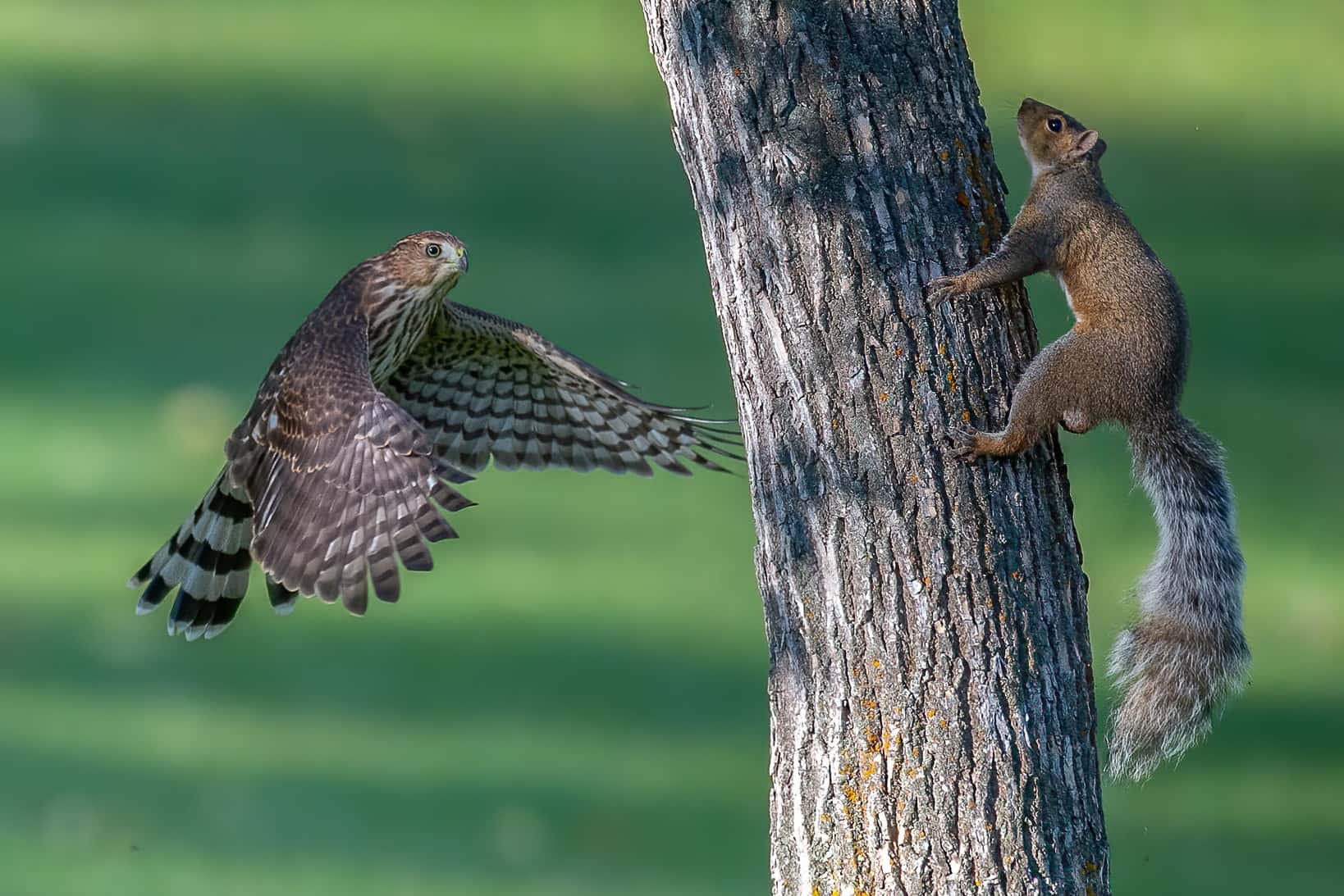 No One Believes My Bizarre Experience