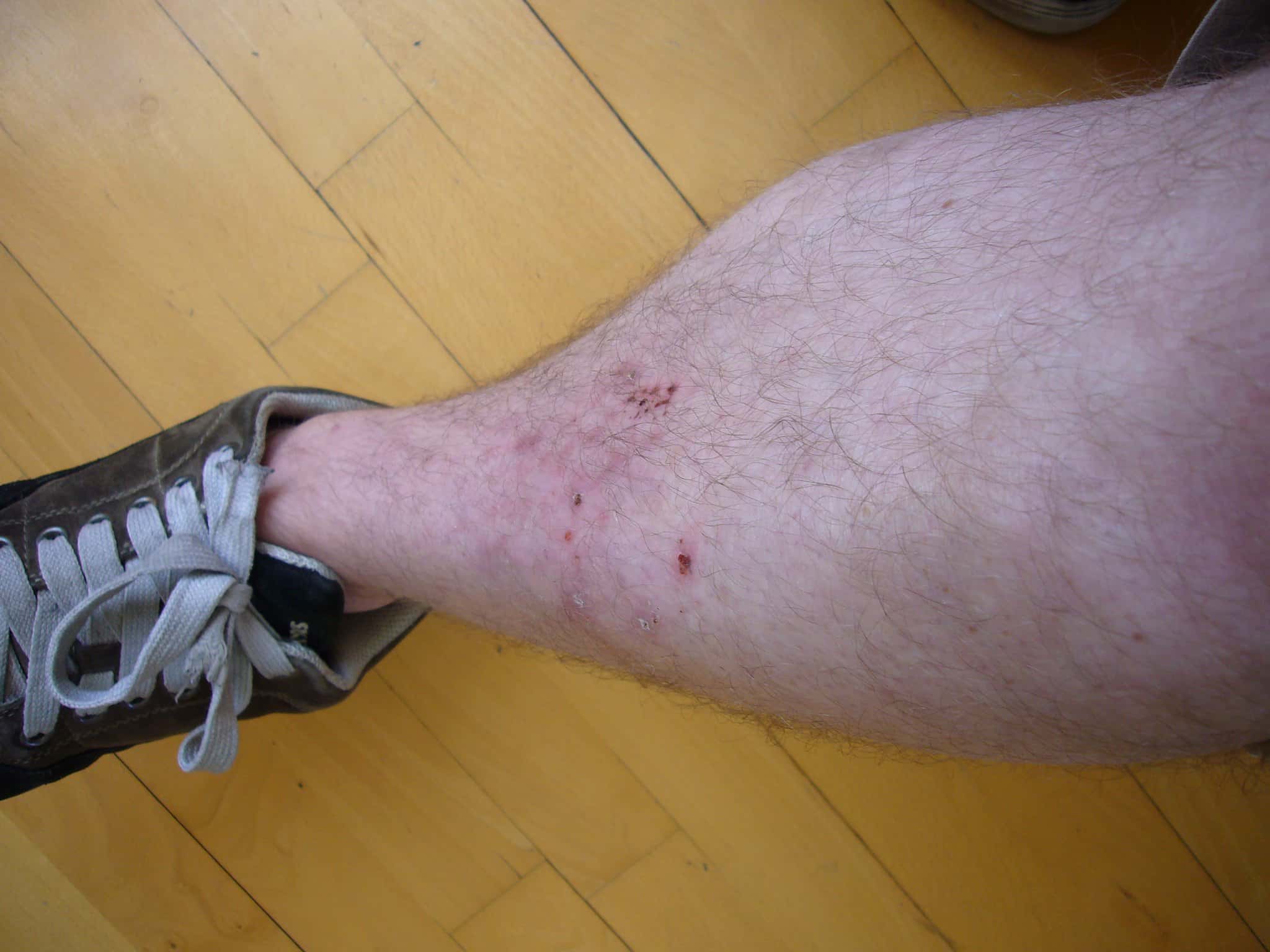 Absolutely Awful Strangers