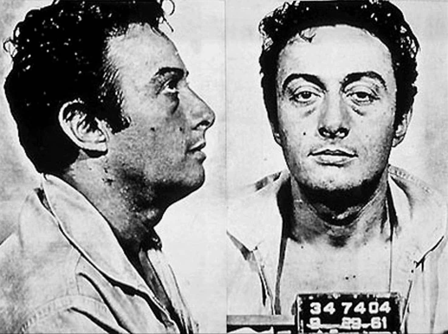 Lenny Bruce Facts