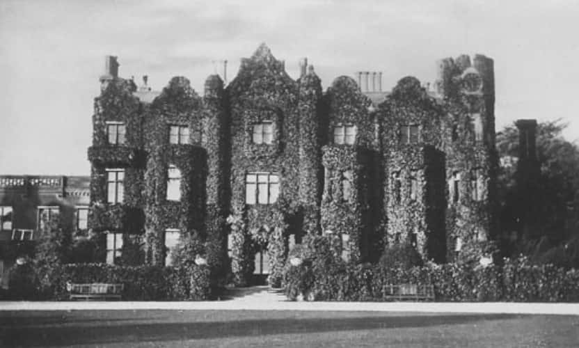 Daisy Greville facts