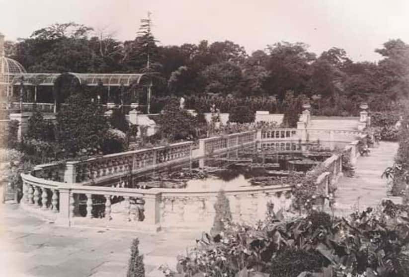 Daisy Greville facts