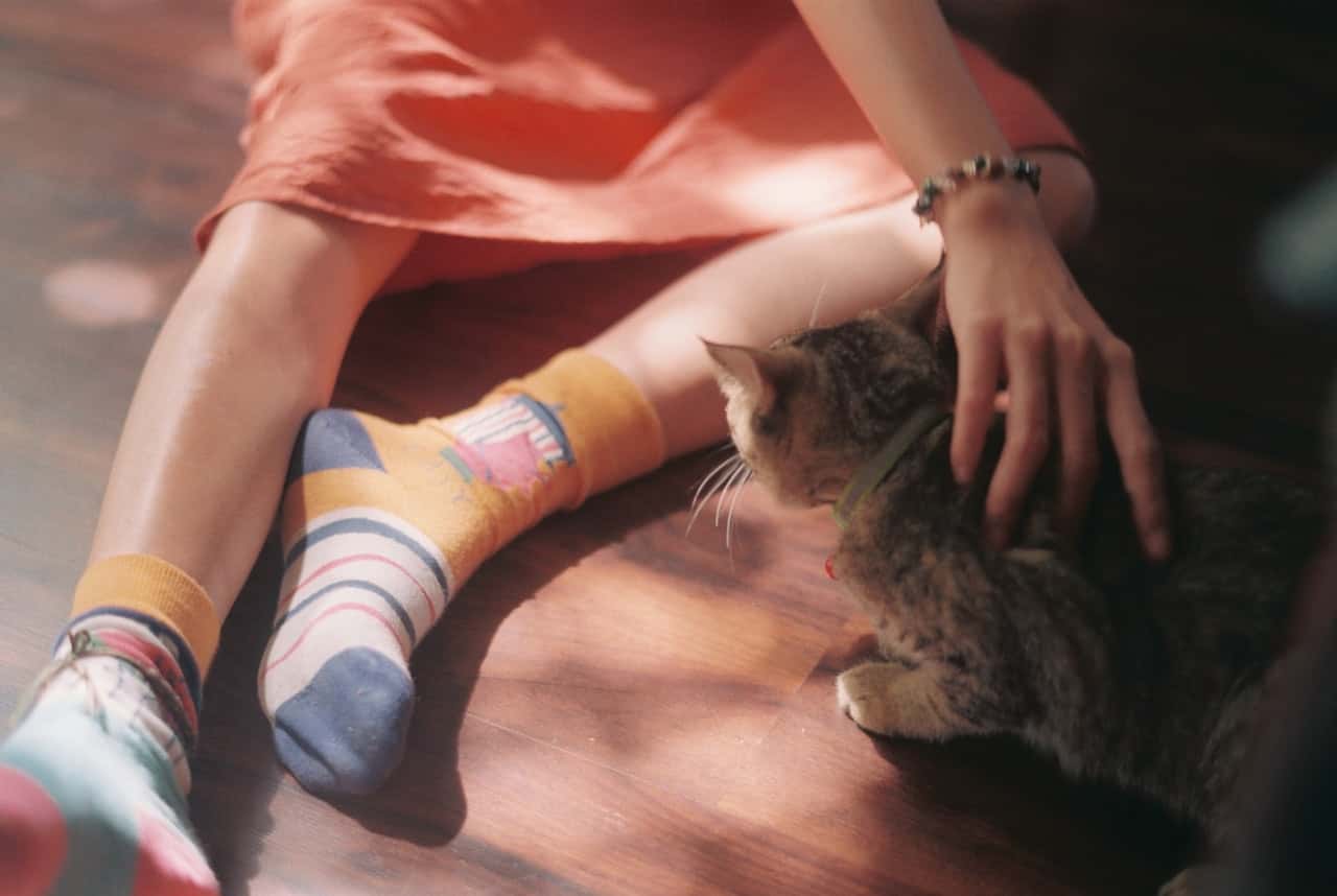 Deranged Doings Unleashed