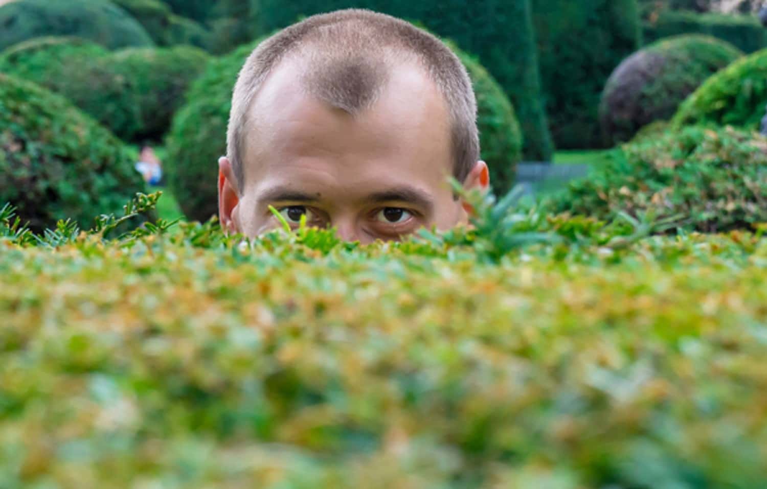 Absolutely Awful Strangers