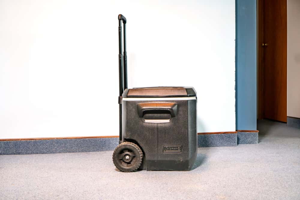 Totally Insane Roommates