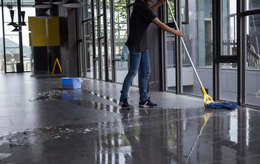 Dumb, And Sometimes Dumber, Bosses