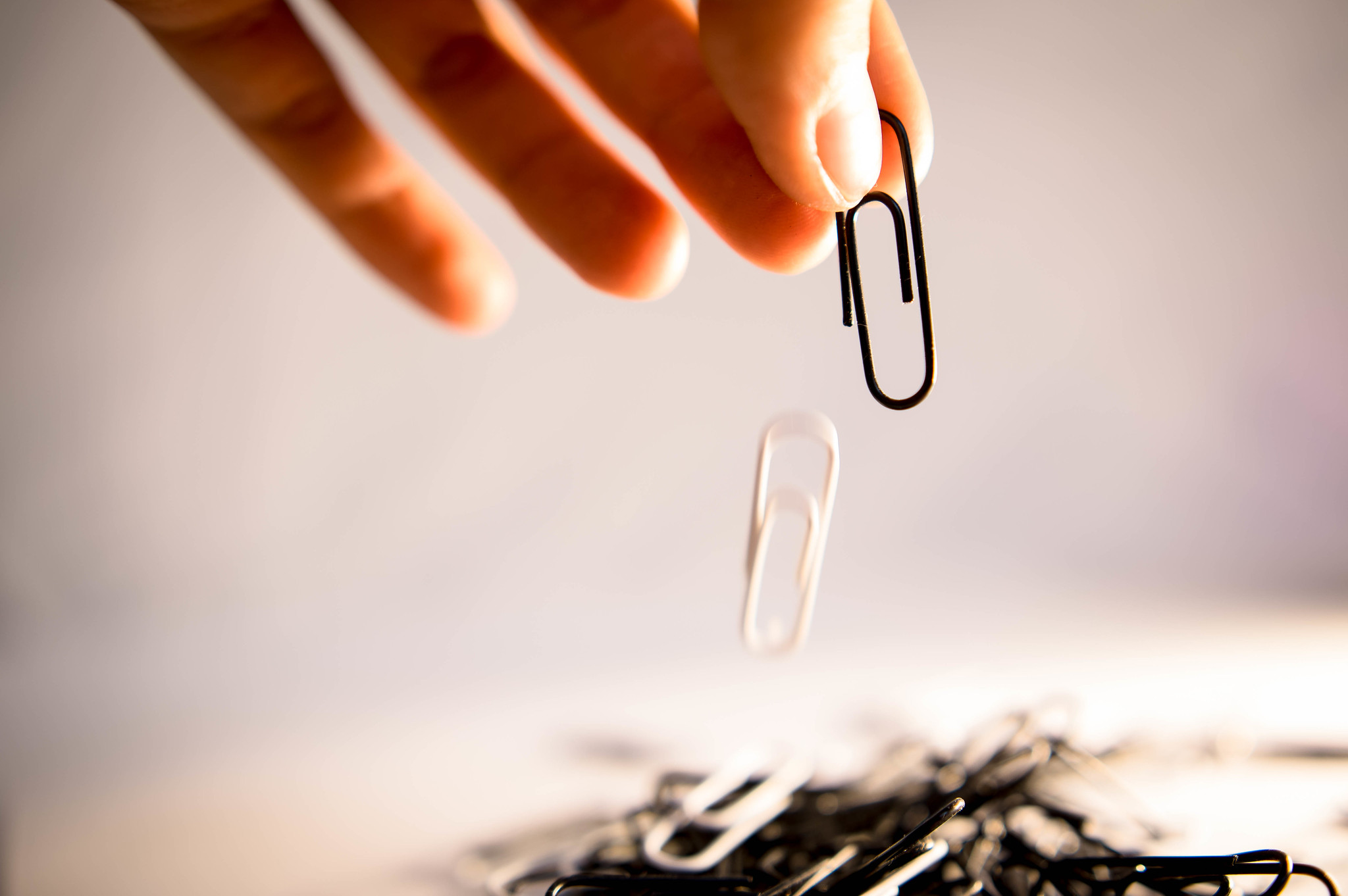 Testing The Limits Of Human Stupidity