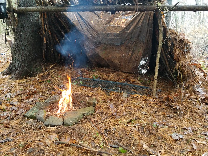 Into The Woods: Terrifying Experiences