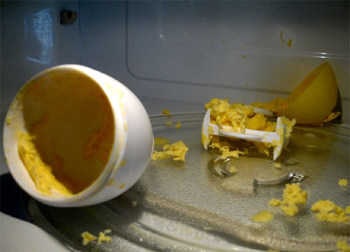 Testing The Limits Of Human Stupidity