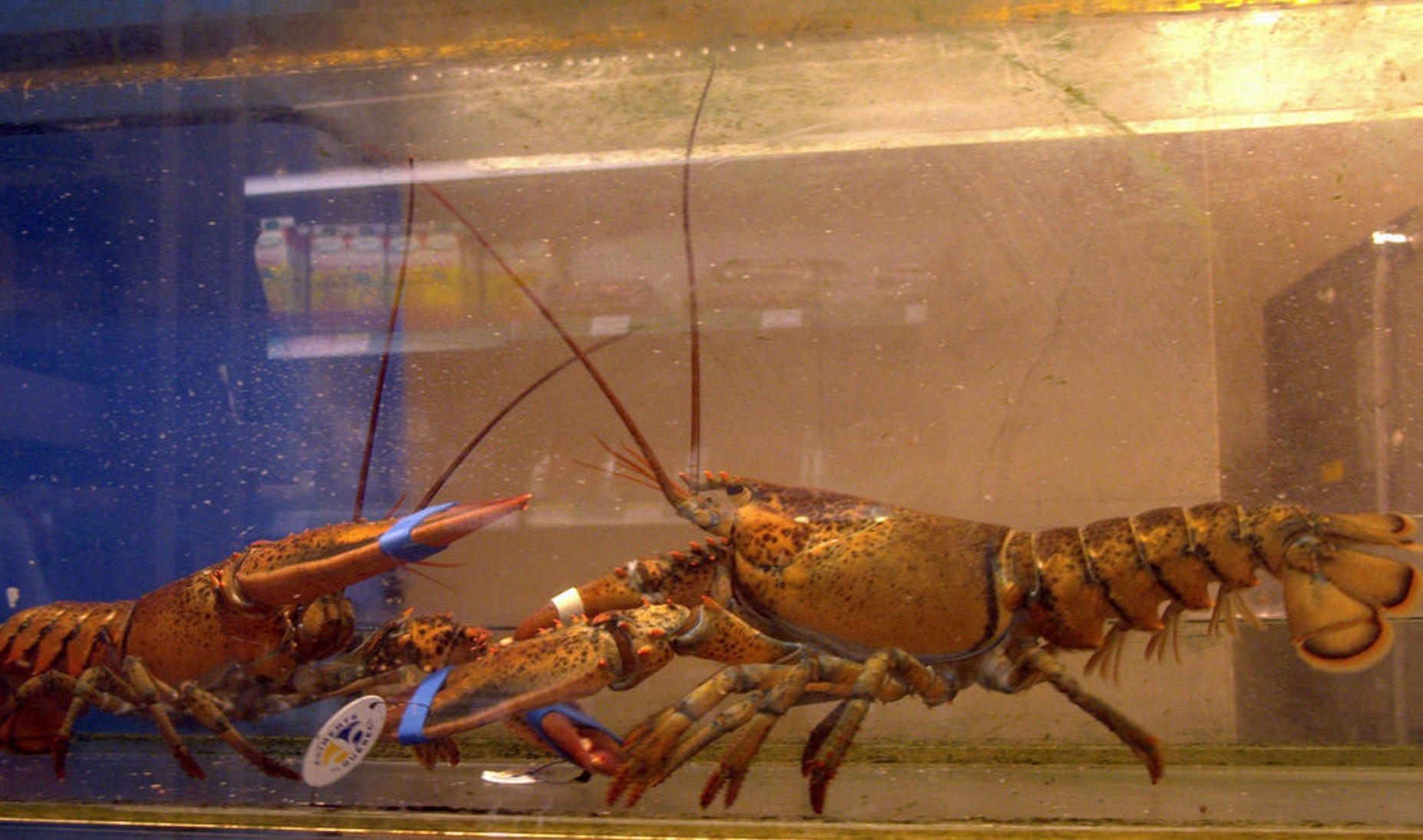 People Who Were Fired On The Spot