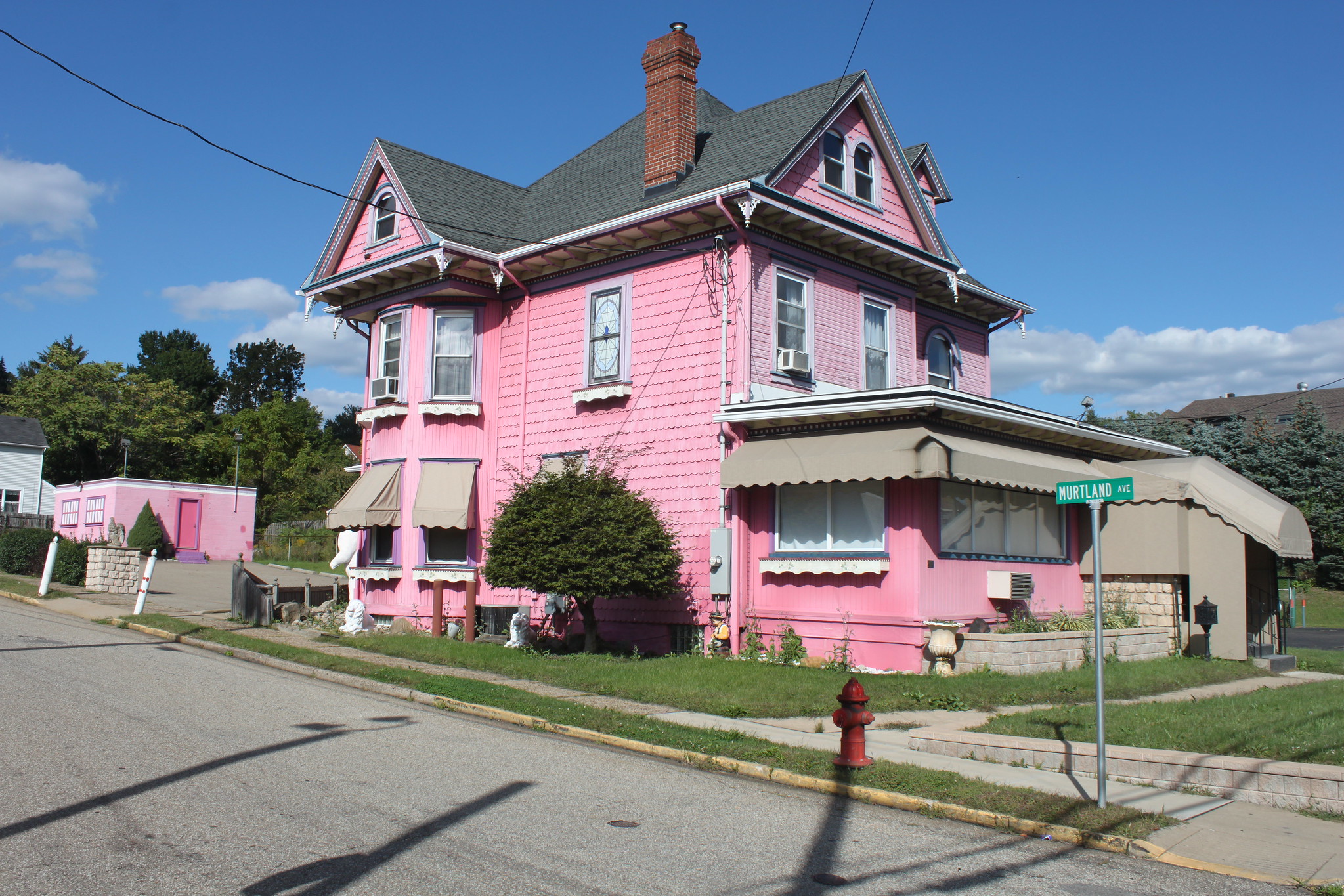 Testing The Limits Of Human Stupidity