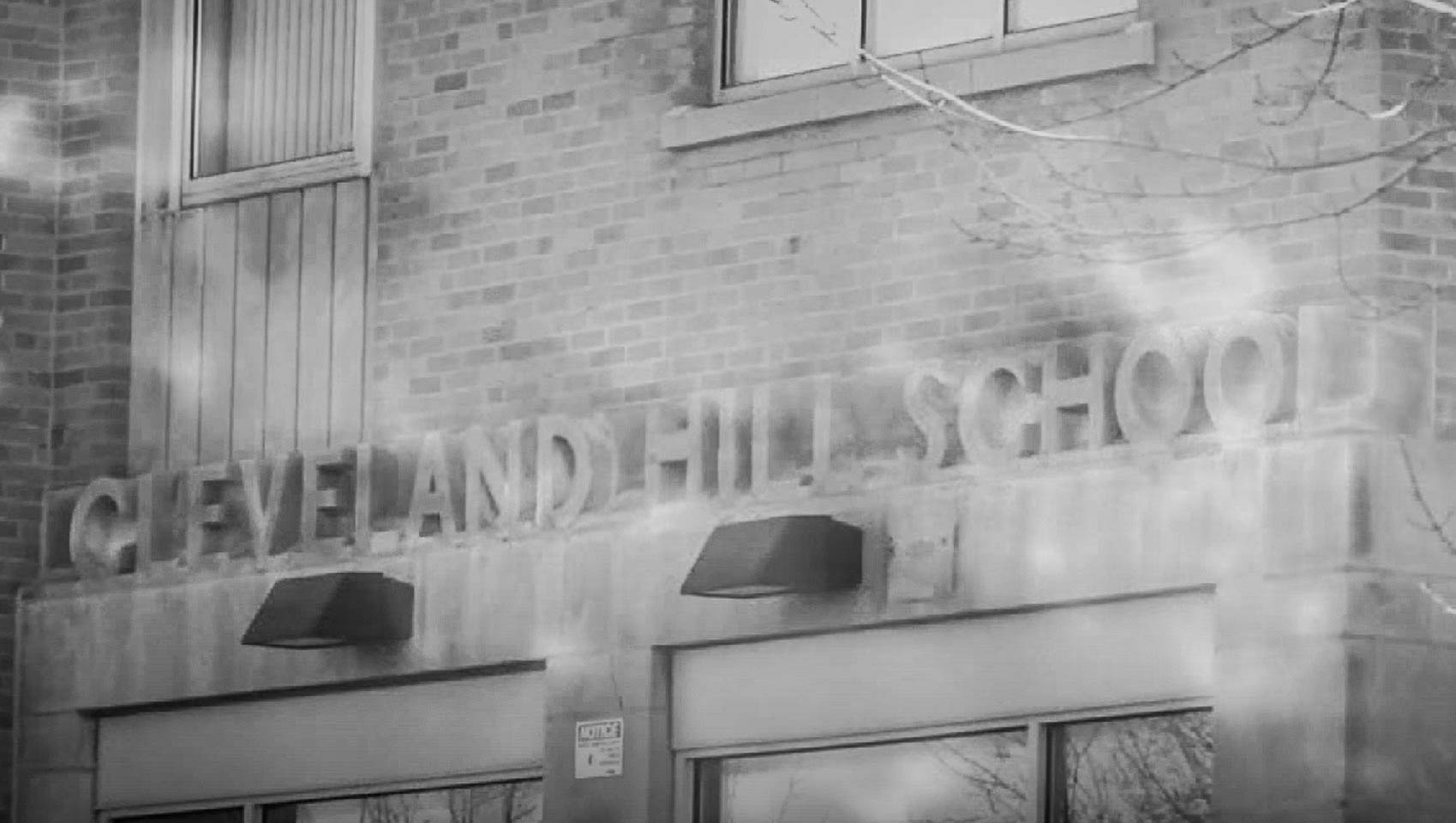 Jackson C. Frank Fаcts