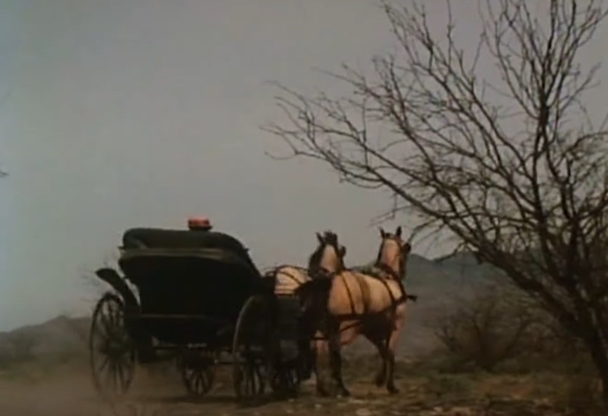 Josephine Earp facts