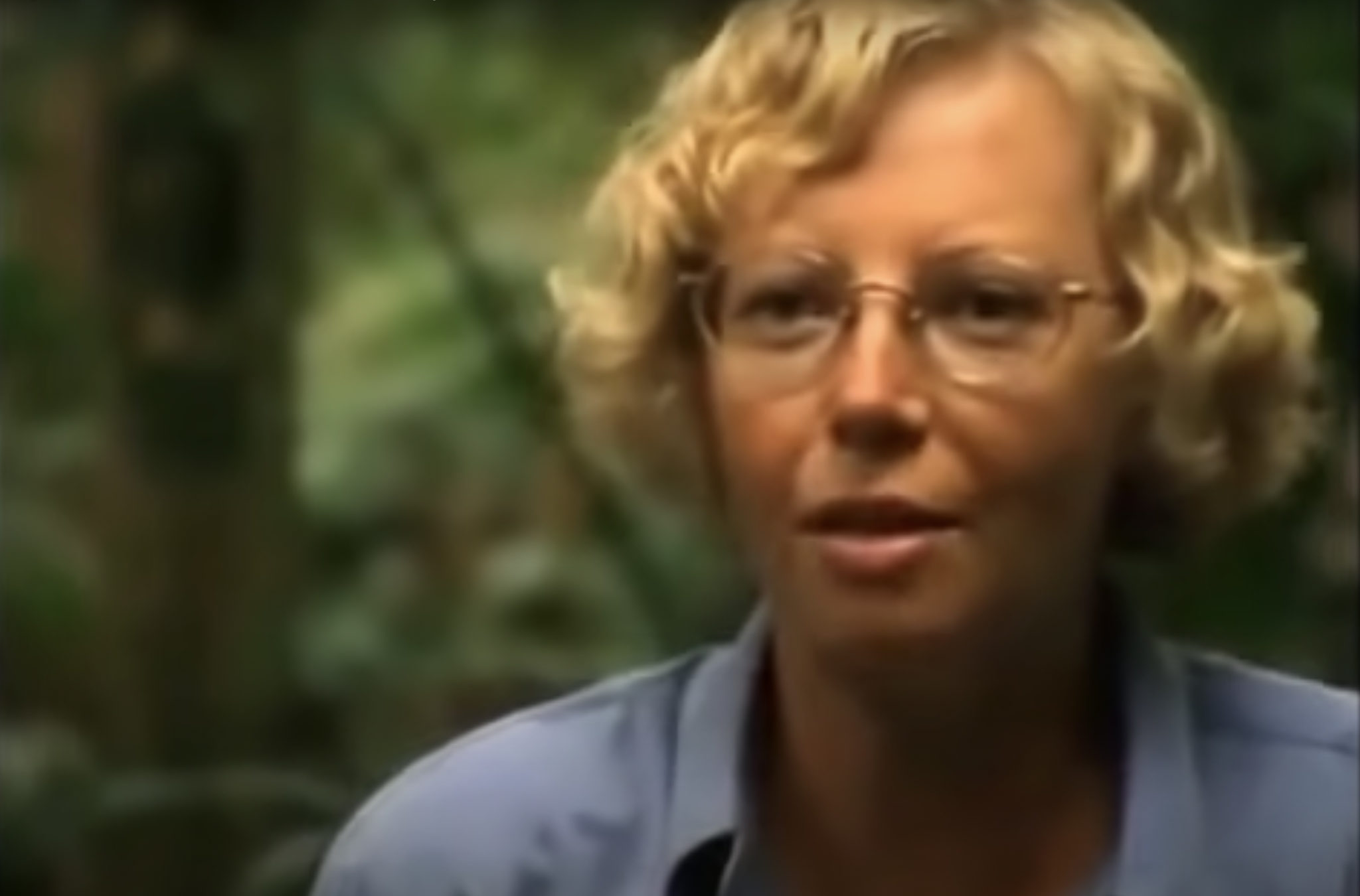 Juliane Koepcke’s Unbelievable Survival Story