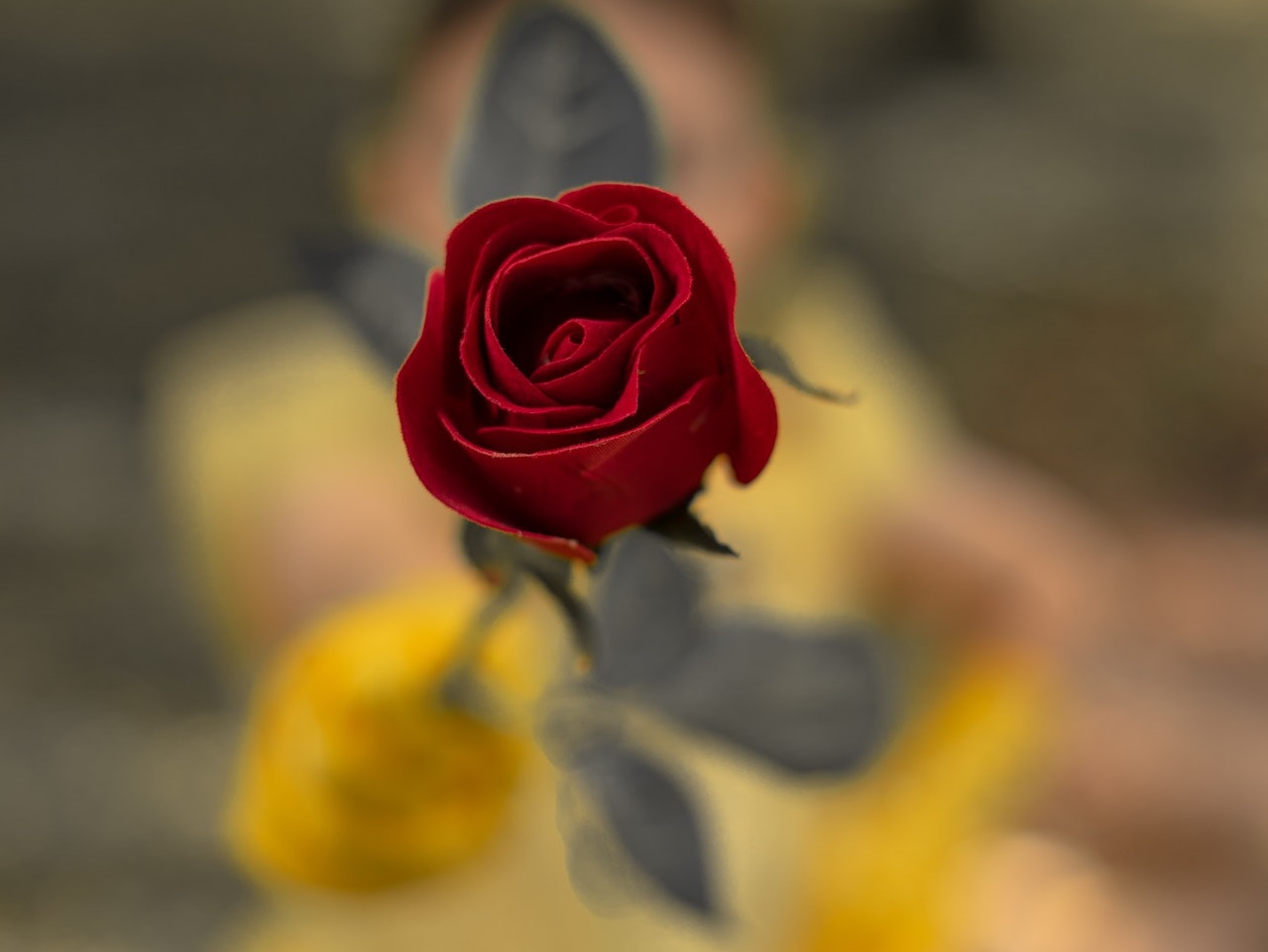 Strange And Puzzling Encounters