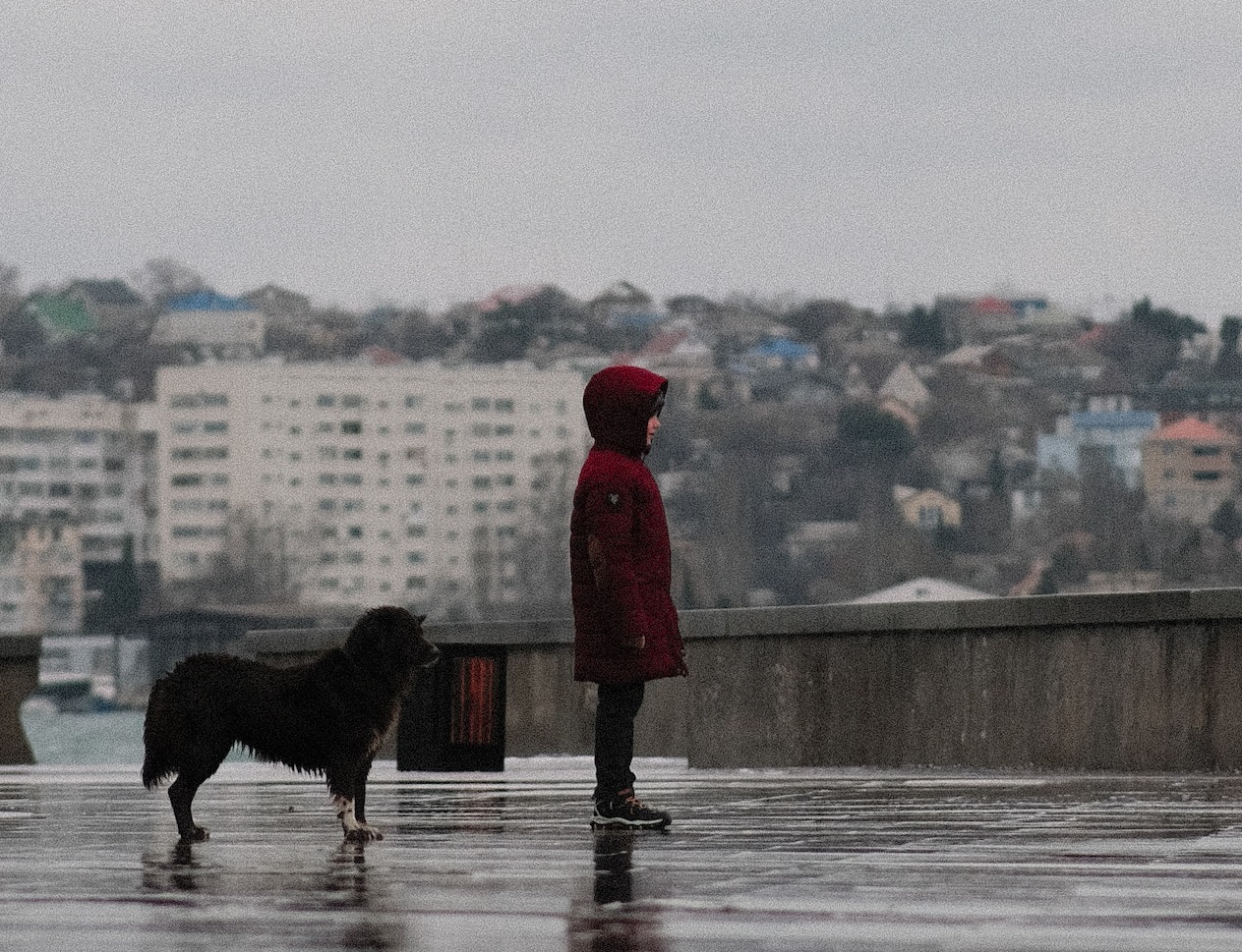 The Craziest Thing That Ever Happened To Me