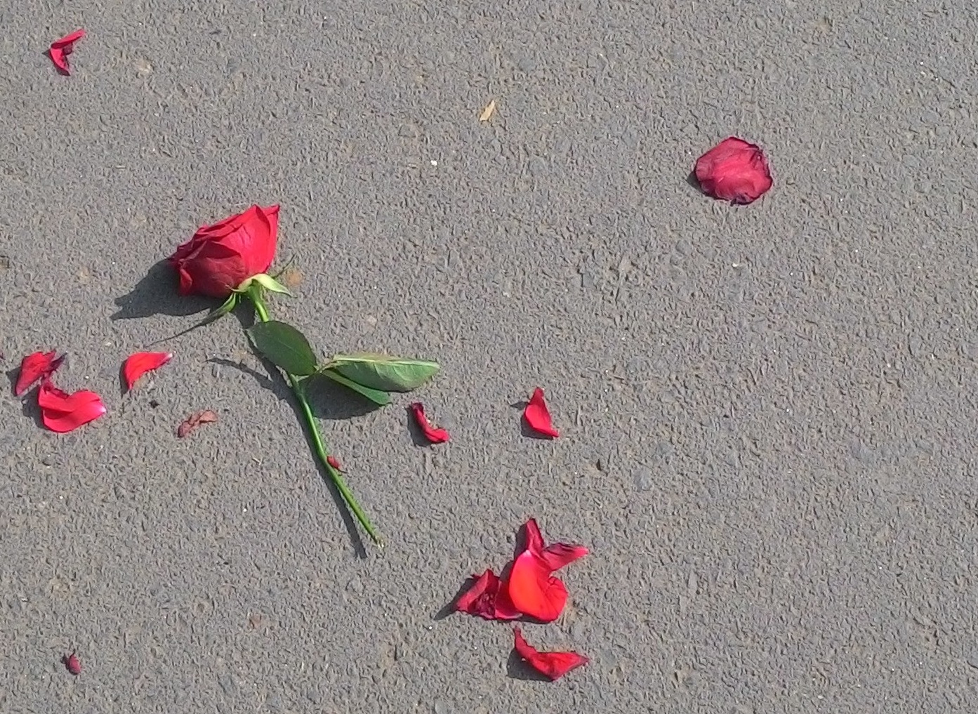 Get That Dark Secret Off Your Chest