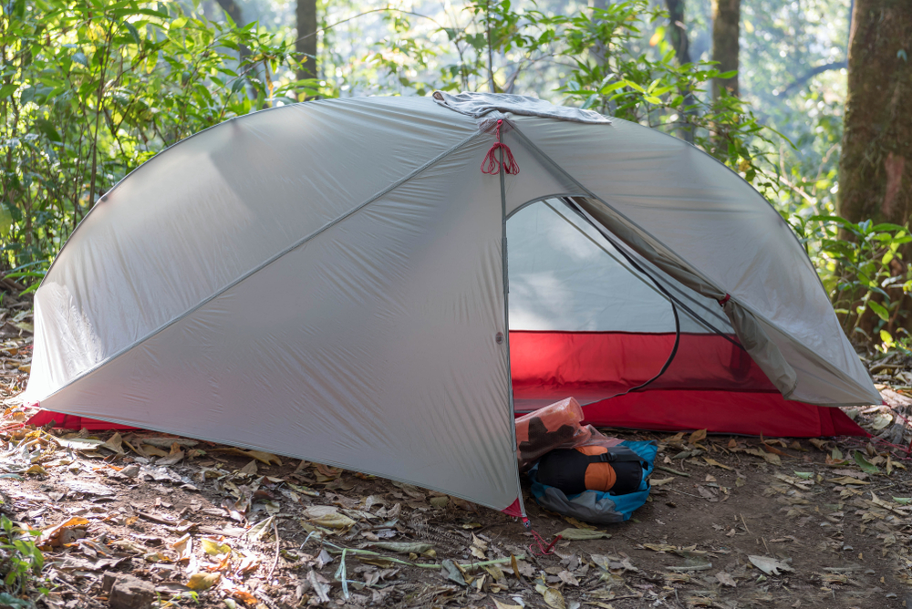 Into The Woods: Terrifying Experiences