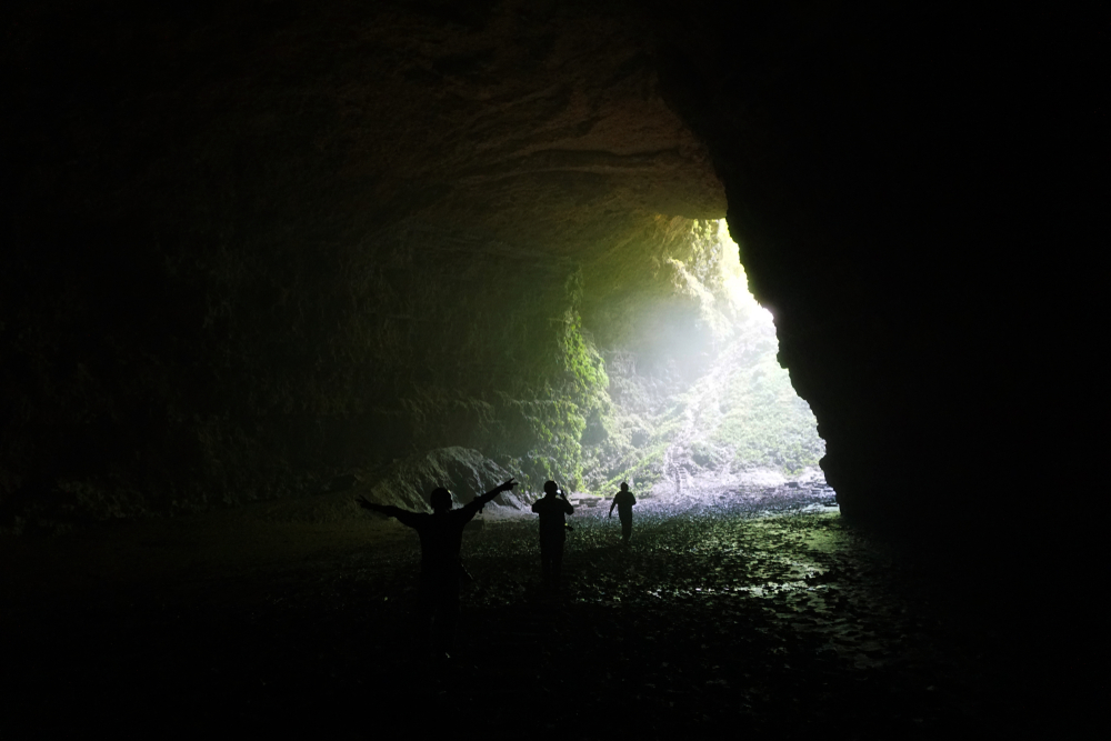 Into The Woods: Terrifying Experiences