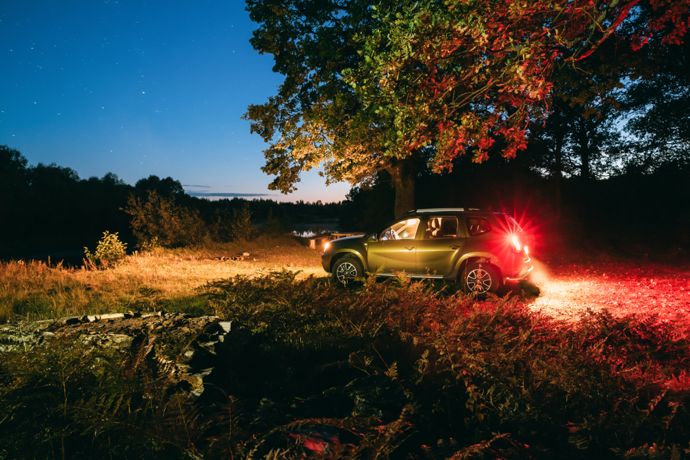 Into The Woods: Terrifying Experiences