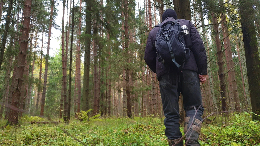 Into The Woods: Terrifying Experiences