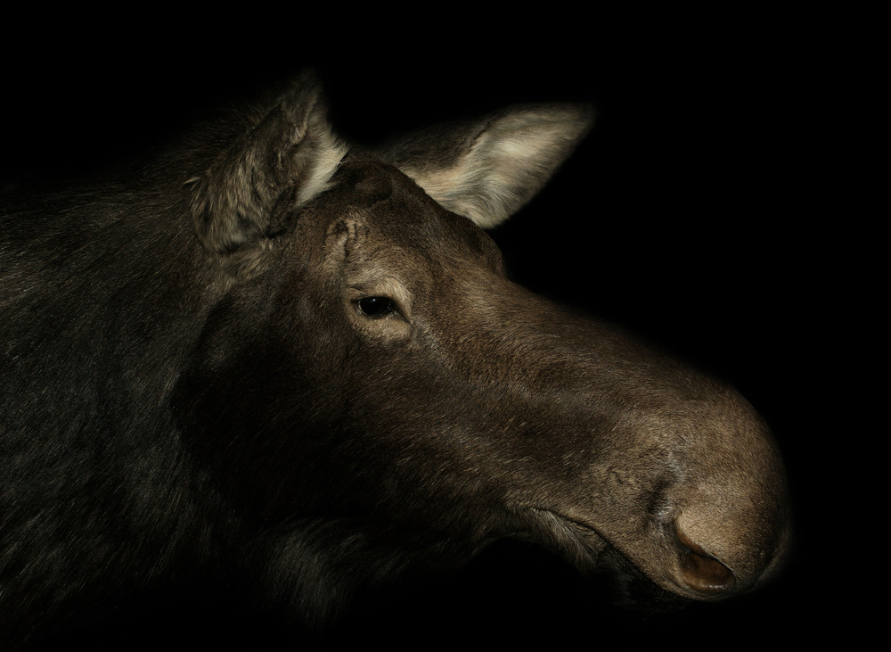 My Most Oblivious Moment