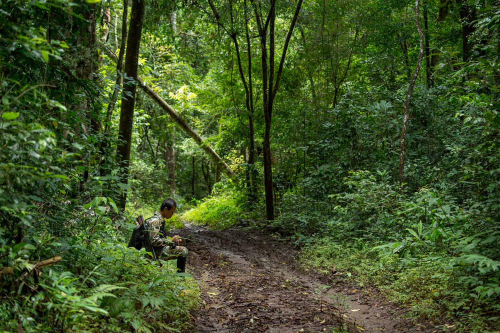 Into The Woods: Terrifying Experiences