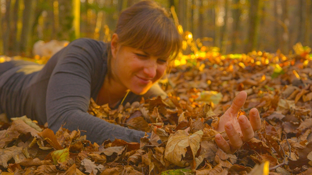 Into The Woods: Terrifying Experiences