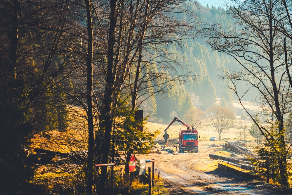 Into The Woods: Terrifying Experiences