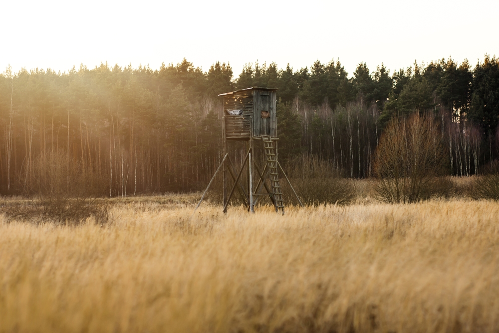 Into The Woods: Terrifying Experiences